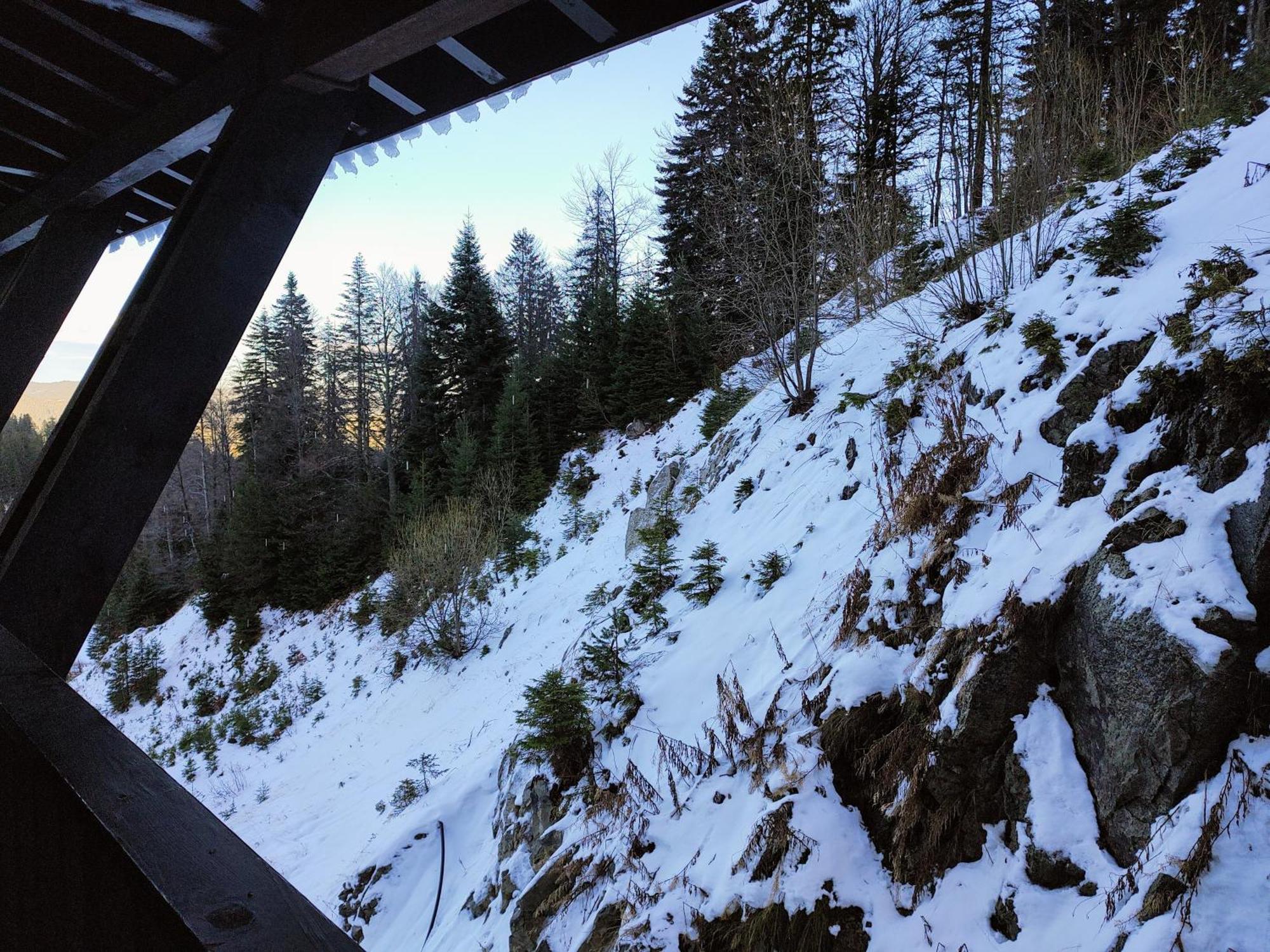 Arendo Ski Апартамент В Grand Monastery Pamporovo Eksteriør billede